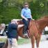 Traditional Saddle Fitting Meets Thermographic Imaging